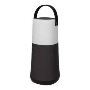 BRAINZ Tower Speaker