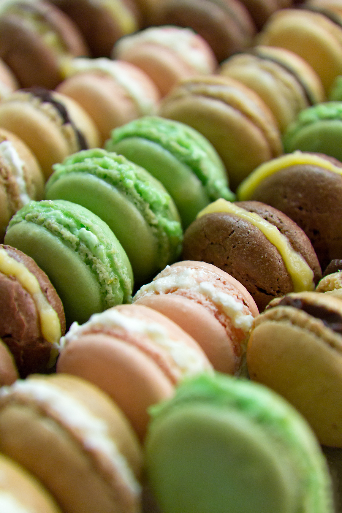 Macaron Kit Brown 8710755880384 Lekue 6 NR 33865