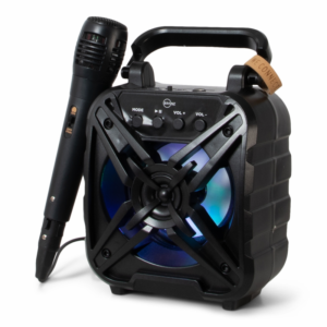 BRAINZ Karaoke Speaker Wheatstraw