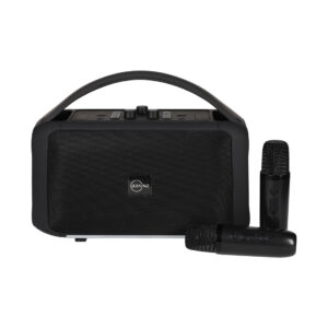 BRAINZ Karaoke Speaker XXL