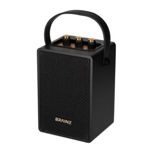 BRAINZ Retro Speaker