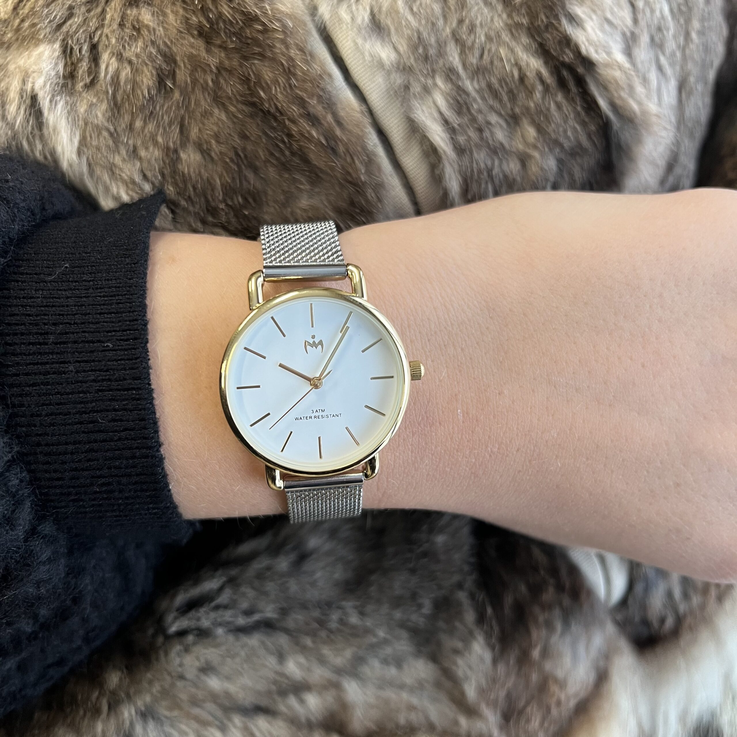 CW.BoldG .MeSr .WD 2 scaled