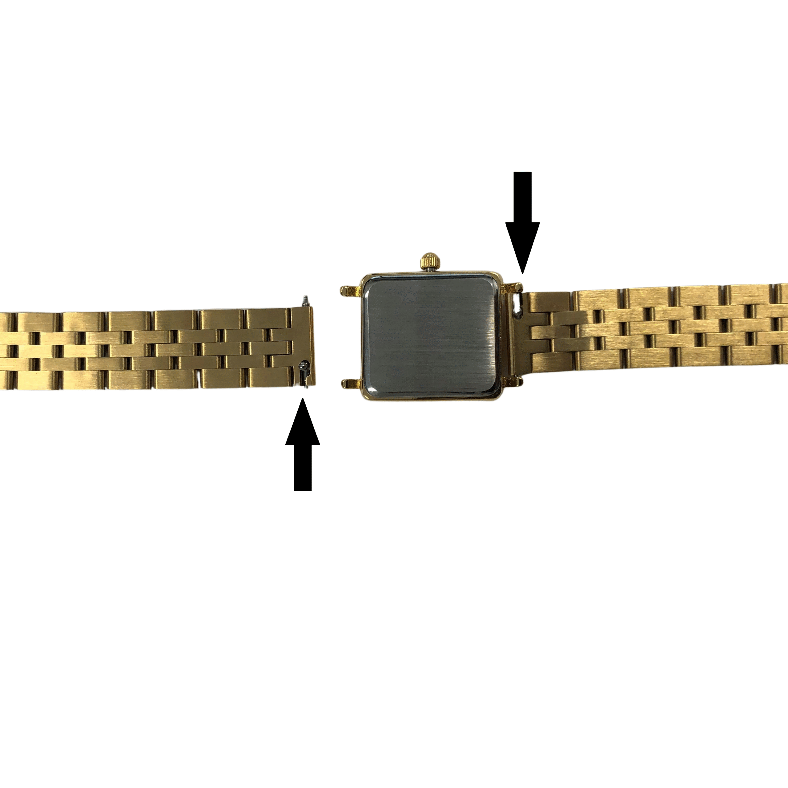 HRGd22.EMGd .WD 5 scaled