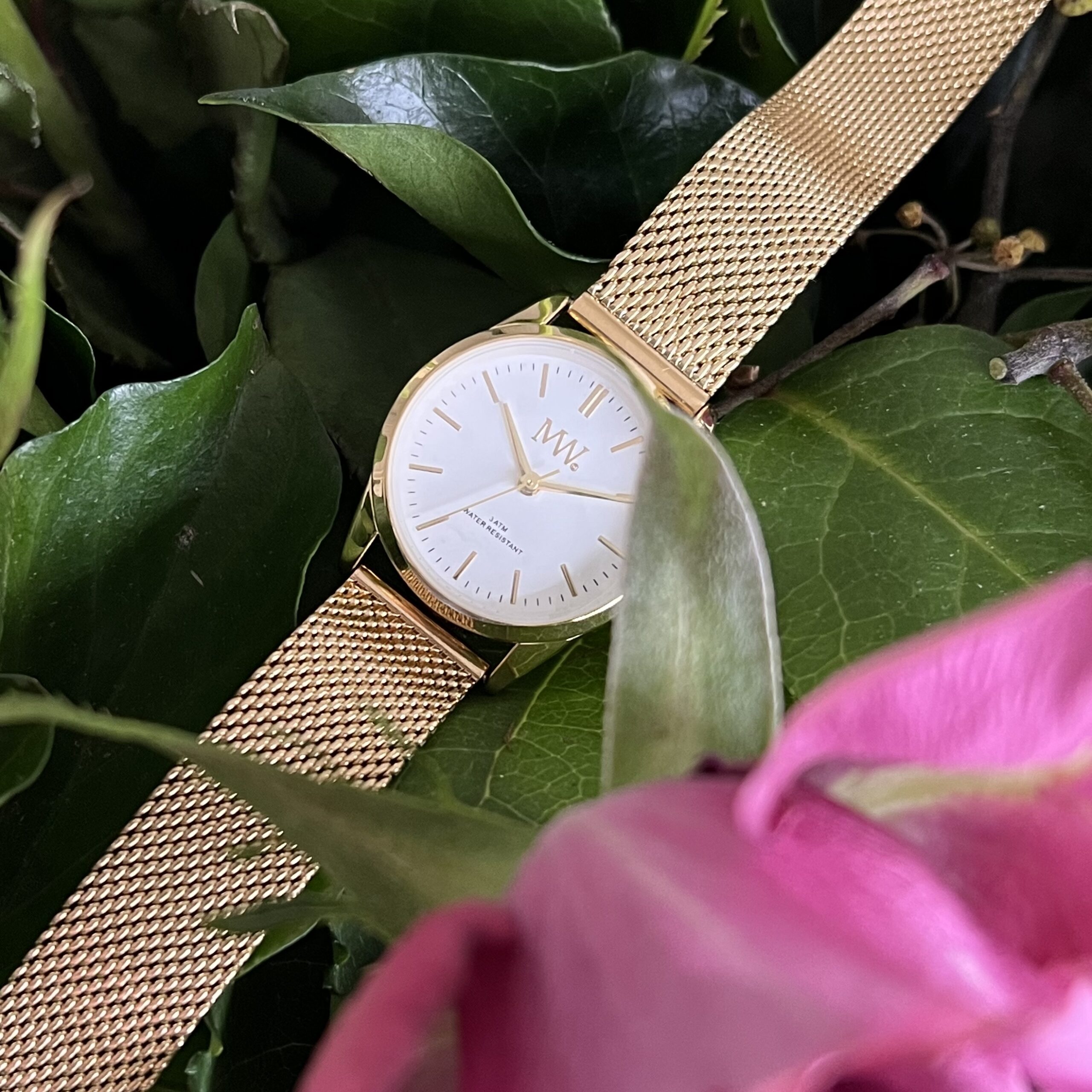 LGRC26.MeGd .White 3 scaled