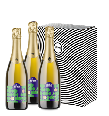 400140 Cava brut x3 1